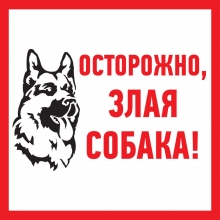 Знак информационный "Злая собака" 200x200мм (наклейка)